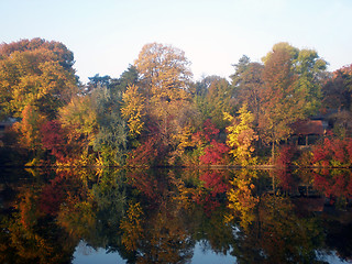 Image showing Autumn