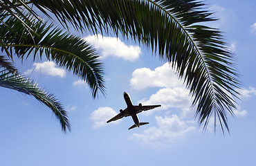 Image showing airplane flying over tropical palm trees 