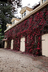 Image showing Barn Doors