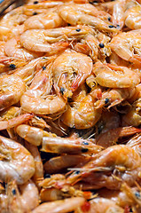 Image showing Cooked Shrimps