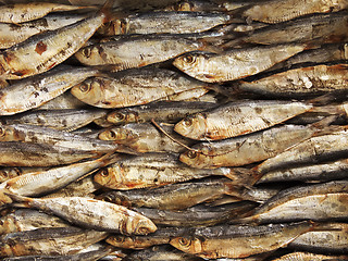 Image showing Dried Fish