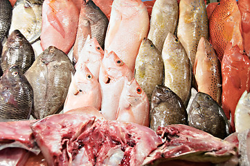 Image showing Fish for Sale