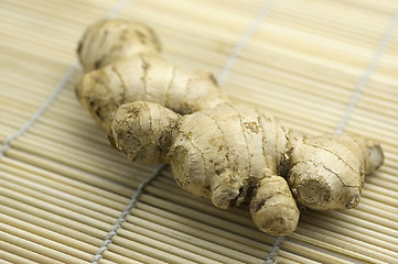 Image showing Turmeric