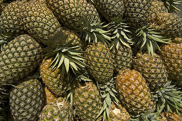 Image showing Pineapple