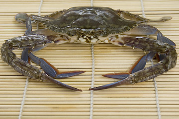 Image showing Crab