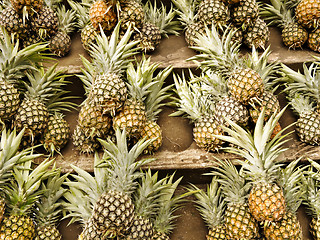 Image showing Pineapple