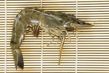 Image showing Fresh Shrimp