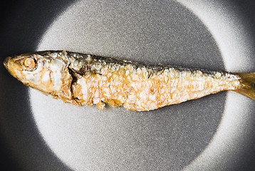 Image showing Dried Fish