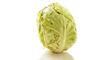 Image showing Cabbage