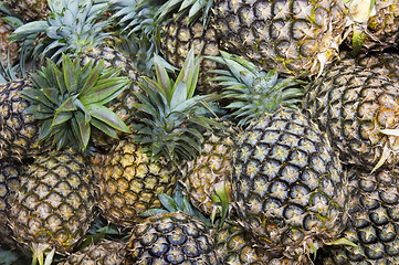 Image showing Pineapple