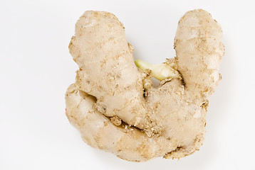 Image showing Ginger Root