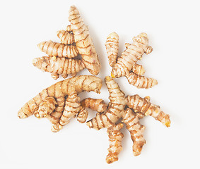 Image showing Turmeric