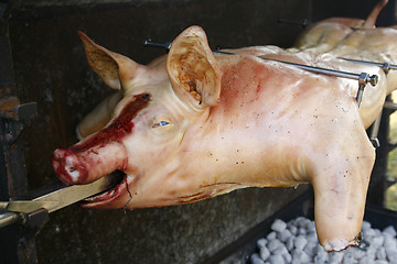 Image showing Piglet on grill