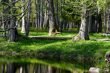 Image showing beautiful landscape