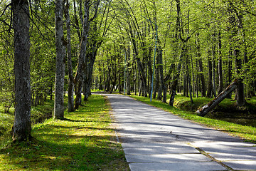 Image showing beautiful old park