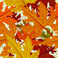 Image showing Autumn background, seamless tile with maple leaves