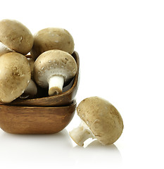 Image showing Mushrooms