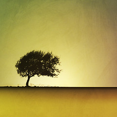 Image showing Lone Tree