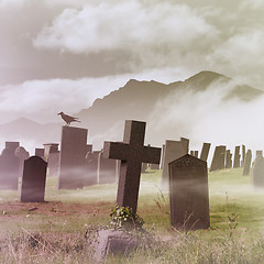 Image showing Misty Graveyard