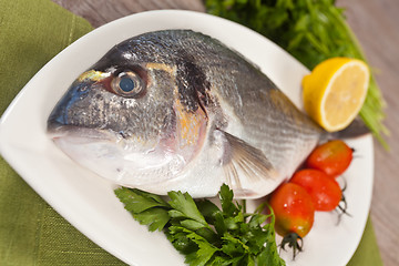 Image showing Fresh gilthead