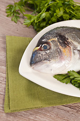 Image showing Fresh gilthead