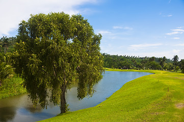 Image showing Golf Greens