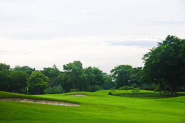 Image showing Golf Greens