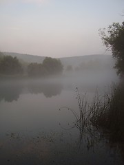 Image showing River in fog