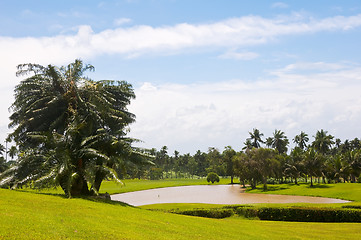 Image showing Golf Greens