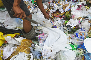 Image showing Garbage Scavenger