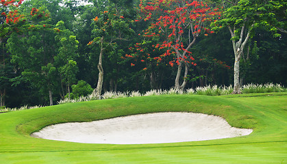 Image showing Golf Greens