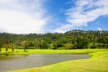 Image showing Golf Greens