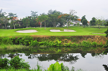 Image showing Golf Greens