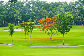 Image showing Golf Greens