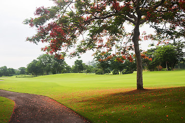 Image showing Golf Greens