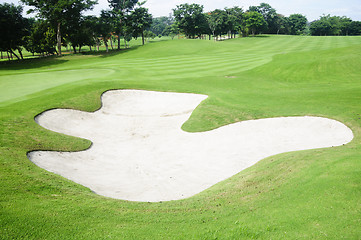 Image showing Golf Greens