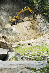 Image showing Forest Destruction