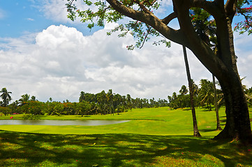 Image showing Golf Greens