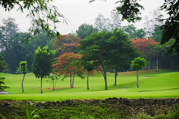 Image showing Golf Greens