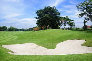 Image showing Golf Greens