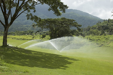 Image showing Golf Greens