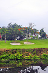 Image showing Golf Greens