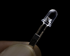 Image showing Tiny Bulb