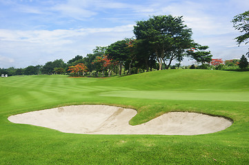 Image showing Golf Greens