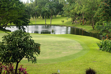 Image showing Golf Greens