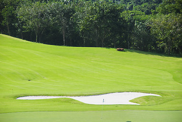 Image showing Golf Greens