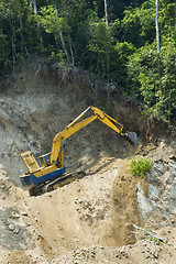 Image showing Forest Destruction