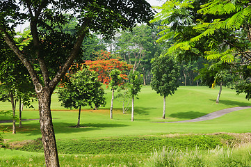 Image showing Golf Greens