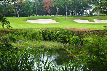 Image showing Golf Greens