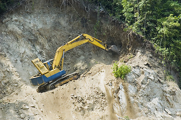 Image showing Forest Destruction